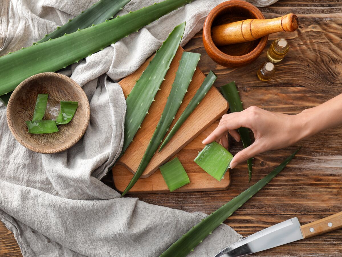 Comment se servir de l’aloe vera pour le visage ?